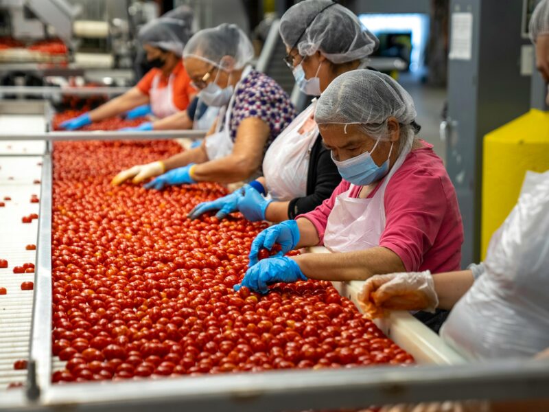 Fruit picking jobs in Sweden for foreigners with visa sponsorship