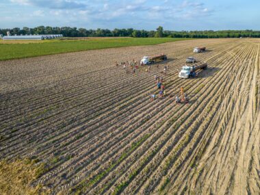 Farm Worker Jobs in Canada with Visa Sponsorship