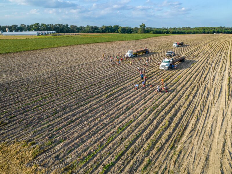 Farm Worker Jobs in Canada with Visa Sponsorship