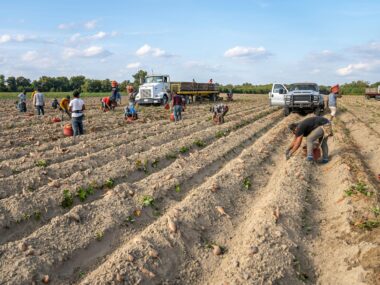 Farm Laborer Jobs in the USA with Visa Sponsorship