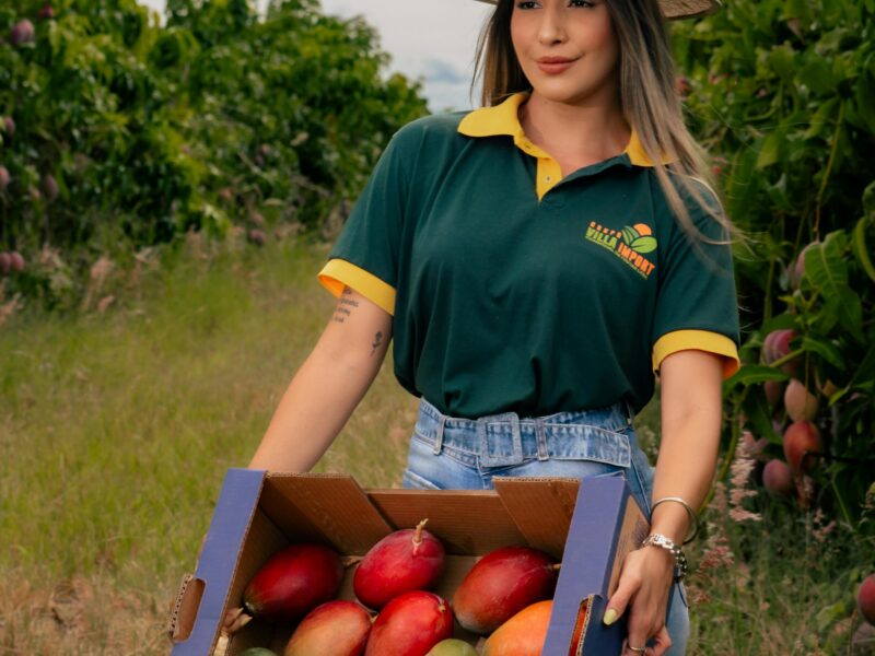 Fruit Picking Jobs in Netherlands with Visa Sponsorship