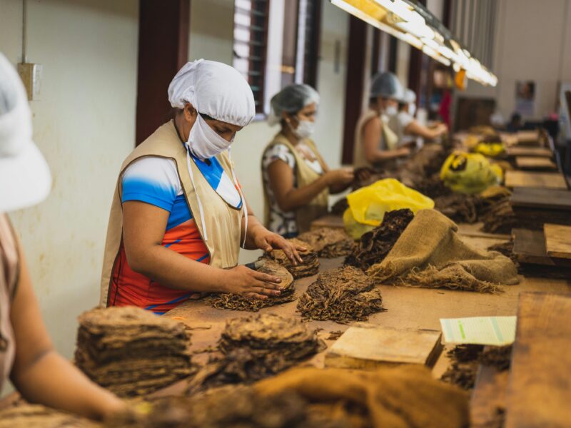 Factory Worker Jobs in Spain with Visa Sponsorship